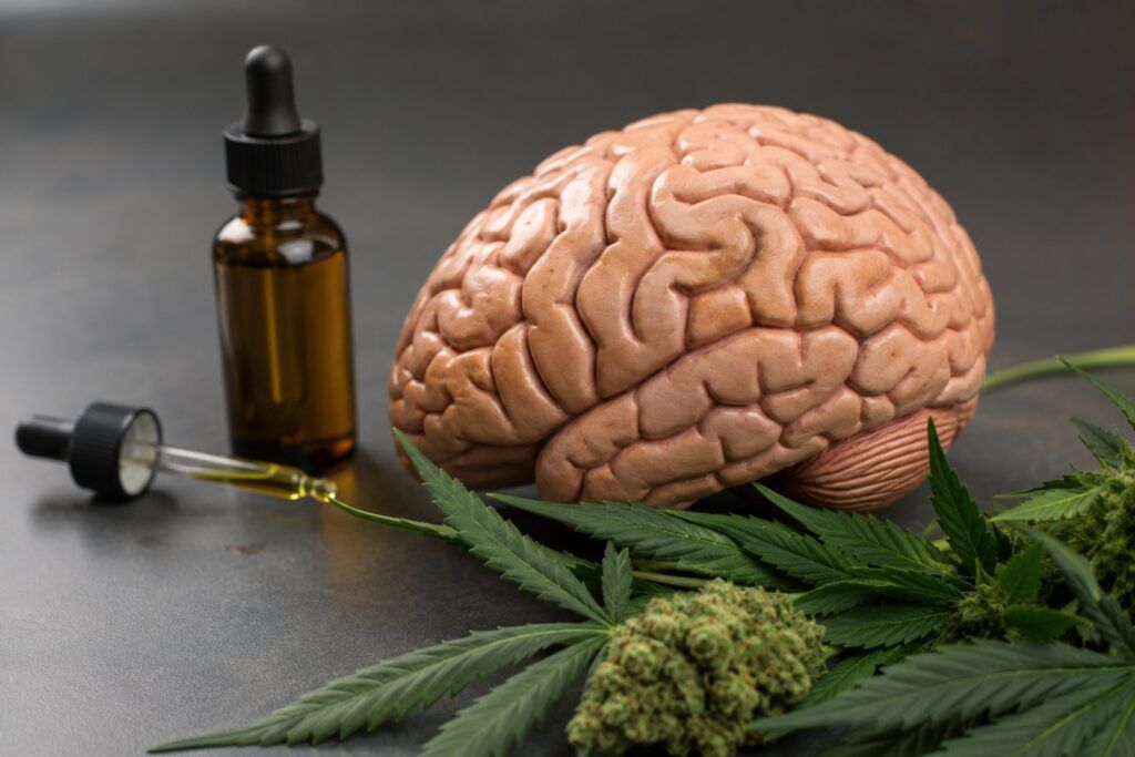 THC i neurogeneza