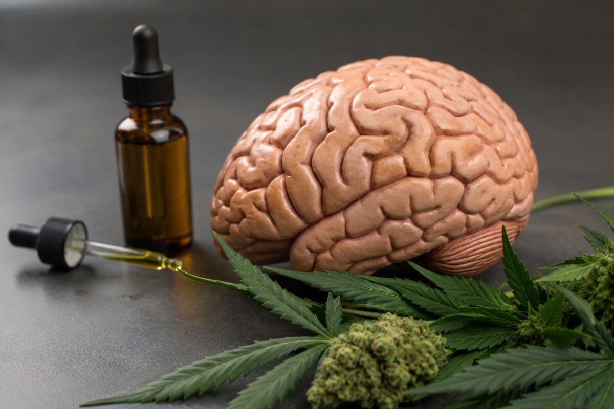 THC i neurogeneza